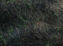 MFC - Arizona Simi Seal -Fishing Equipment Store Simi Black Peacock 26e686f9 7970 4846 8bd9 b8fc328f874a