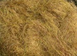 MFC - Arizona Simi Seal -Fishing Equipment Store Simi Brown 35acdd2a 82dc 4a29 a6f0 54489687d584