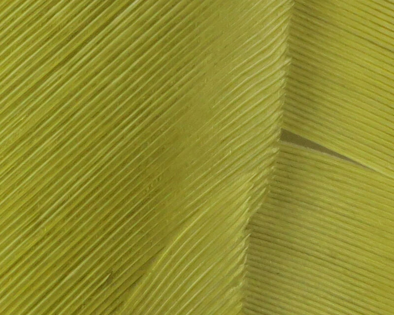 Hareline Turkey Biot Quills 3 Hareline Turkey Biot Quills - Image 3