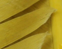 Hareline Turkey Biot Quills 27 Hareline Turkey Biot Quills -Fishing Equipment Store TBQ277