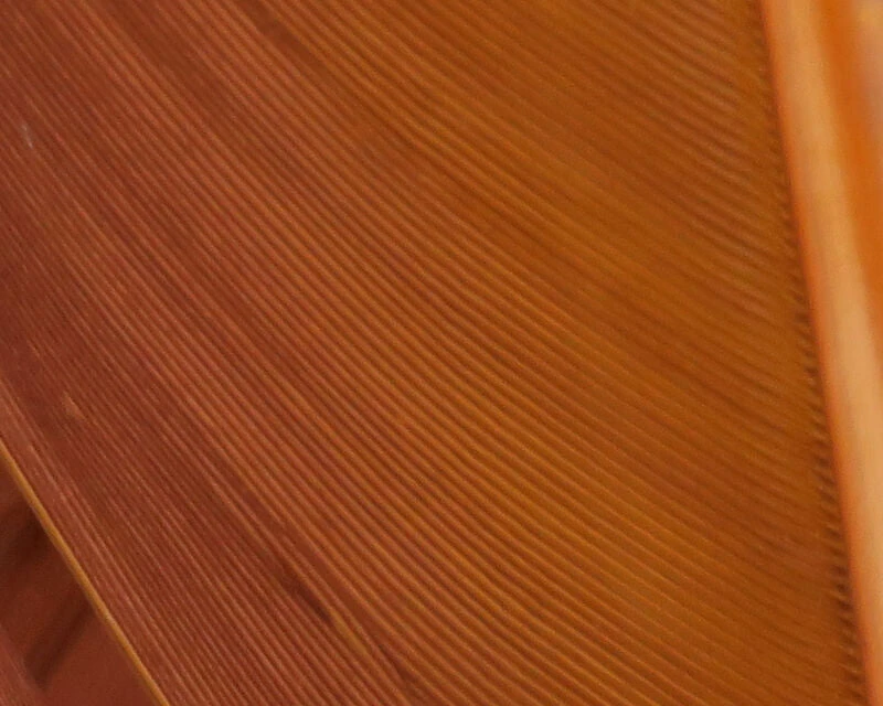 Hareline Turkey Biot Quills 15 Hareline Turkey Biot Quills - Image 15