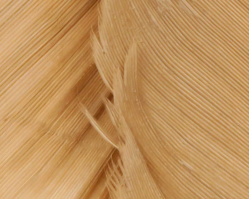 Hareline Turkey Biot Quills 7 Hareline Turkey Biot Quills - Image 7