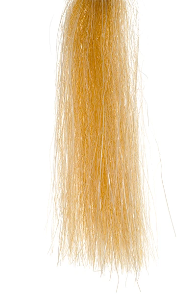 Senyo's Shadow Fiber 1 Senyo's Shadow Fiber