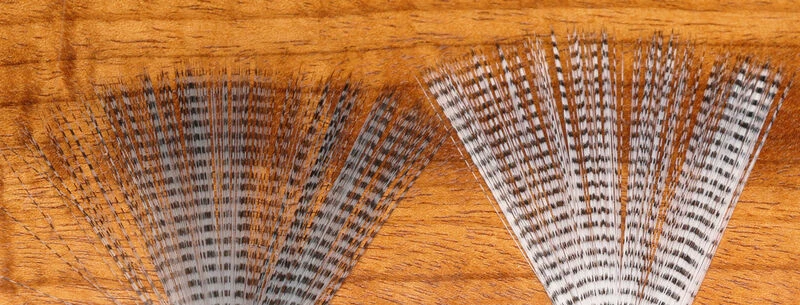 Hareline Barred Mayfly Tails 1 Hareline Barred Mayfly Tails