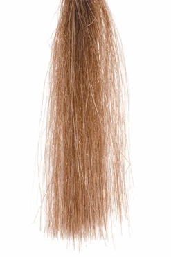 Senyo's Shadow Fiber 15 Senyo's Shadow Fiber -Fishing Equipment Store brown 7a529fcc 3bdf 413f 8adc 94dbecf1635a