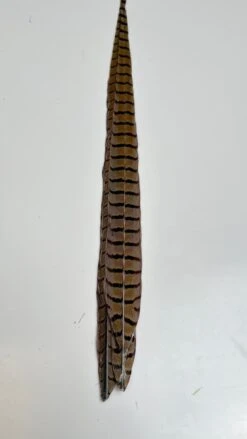 Pheasant Tail Center Pairs -Fishing Equipment Store image5 2