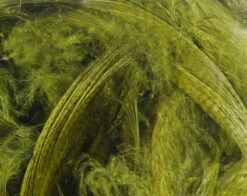 Hareline Mallard Flank -Fishing Equipment Store mf263