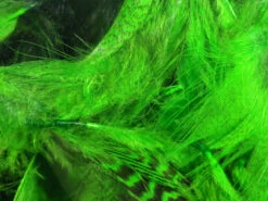 Hareline Mallard Flank -Fishing Equipment Store mf34