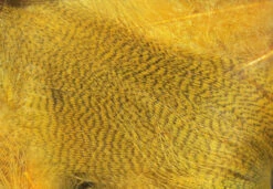 Hareline Mallard Flank -Fishing Equipment Store mf381