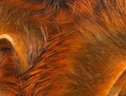 Hareline Magnum Rabbit Strips 33 Hareline Magnum Rabbit Strips -Fishing Equipment Store mrs71