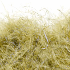 Senyo's Dirty Bird Dubbing 33 Senyo's Dirty Bird Dubbing -Fishing Equipment Store olive