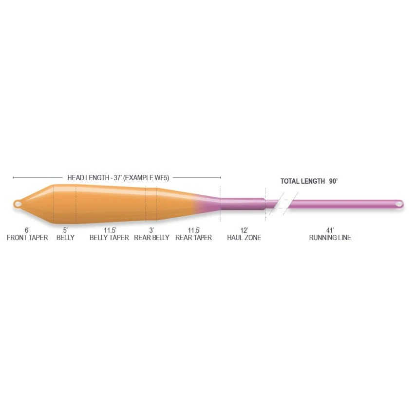 Airflo Superflo Ridge 2.0 Power Taper Fly Line - Sunburst/Purple 2 Airflo Superflo Ridge 2.0 Power Taper Fly Line - Sunburst/Purple - Image 2