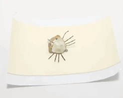 Hareline SUBMERGE Body Foam