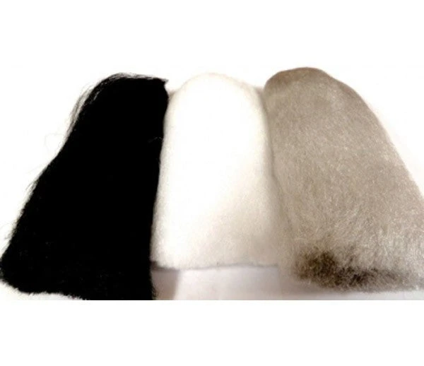 MFC Widow's Web 1 MFC Widow's Web